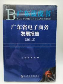 广东蓝皮书：广东省电子商务发展报告（2013）