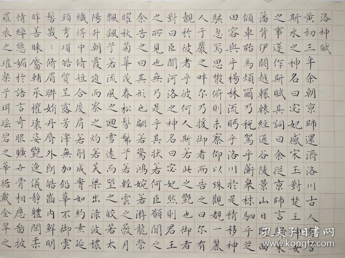 中国书协会员【苏宁】千字小楷——洛神赋，136x34cm，2019年，保真