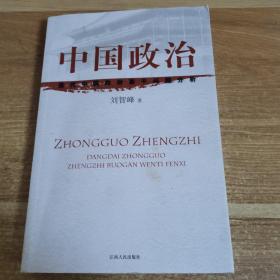 中国政治:当代中国政治若干问题分析