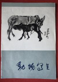 老版《动物写生》 黄胄 著