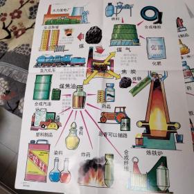 自然十二册挂图14幅(号138)