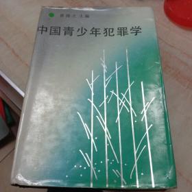 中国青少年犯罪学