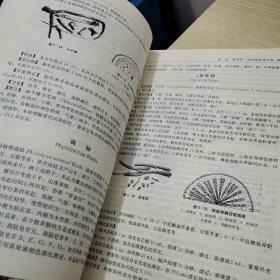 全国中医药行业高等中医药院校成人教育规划教材：中药鉴定学（专升本）