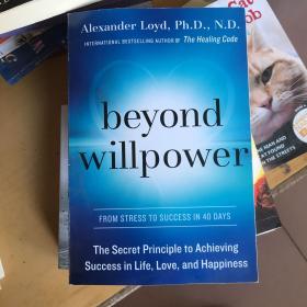 Beyond Willpower: The Secret Principle to Achieving Success in Life, Love, and Happiness