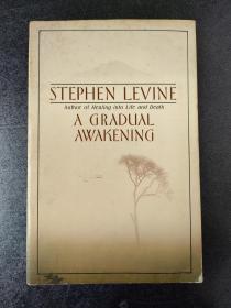 STEPHEN LEVINE  A GRADUAL  AWAKNING(外文书）