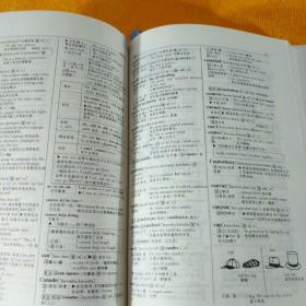 最新英汉活用图解辞典 内蒙古文化出版社 1996年第2版 1998年第5次印刷 35开平装