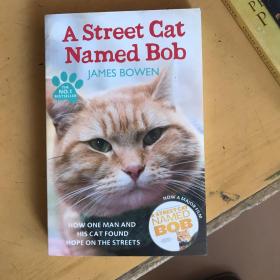 A Street Cat Named Bob