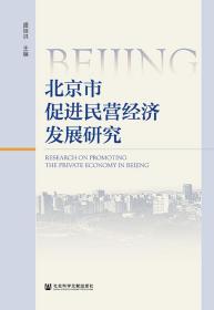 北京市促进民营经济发展研究               盛继洪 主编