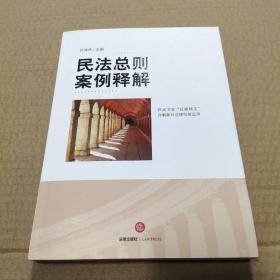 民法总则案例释解