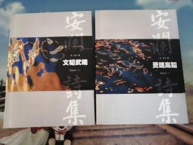 安澜诗集：文韬武略 灵魂高蹈（全2册） 品相好