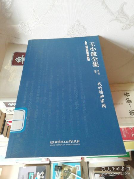 王小波全集（第二卷 杂文）：我的精神家园