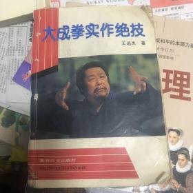 大成拳实战绝技