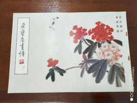 荣宝斋画谱   50   花卉部分    肖淑芳绘