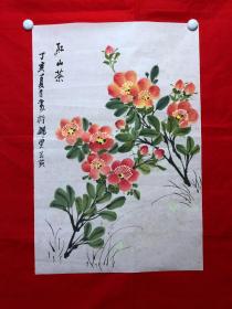 书画11273，【陈玉英】有款花鸟画，山茶花