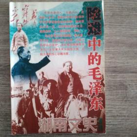 湖南文史增刊