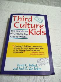 third culture kids--the experience of growing up among worlds（英文原版16开平装）详情看图