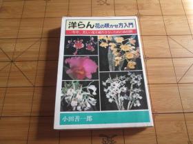 日文原版 洋らん　花の咲かせ方入門　小田善一郎