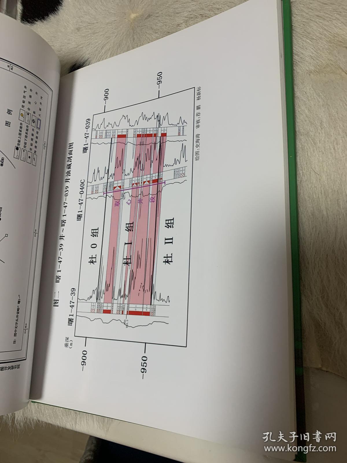 辽河油田杜66块曙1-47-040C井岩心图册