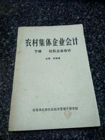 农村集体企业会计 下册  社队企业会计