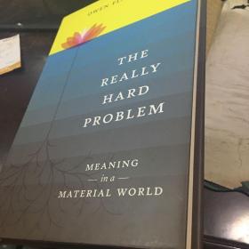 The Really Hard Problem: Meaning in a Material World (MIT Press)