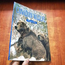 CANADIAN WILDLIFE