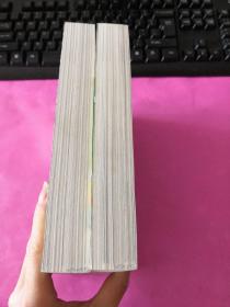 天使禁猎区(全二册无碟片)