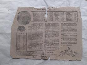 50年代 电影说明书：云雾山中