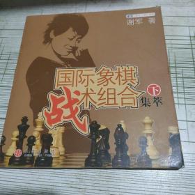 国际象棋战术组合集萃（下）