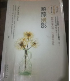 游踪漫影