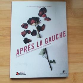 Après la Gauche 《左派之后》（左派的来世今生）法文原版 九十分钟影片 DVD