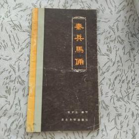 秦兵马俑 正版书籍，保存完好，实拍图片，一版一印