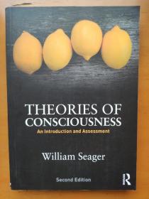 Theories of Consciousness an introduction and assessment William Seager Second Edition 本书包括意识科学新兴的Attention相关研究之介绍