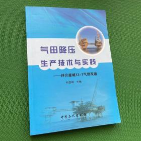 气田降压生产技术与实践 : 评介崖城13-1气田改造