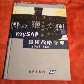 mySAP集团战略管理