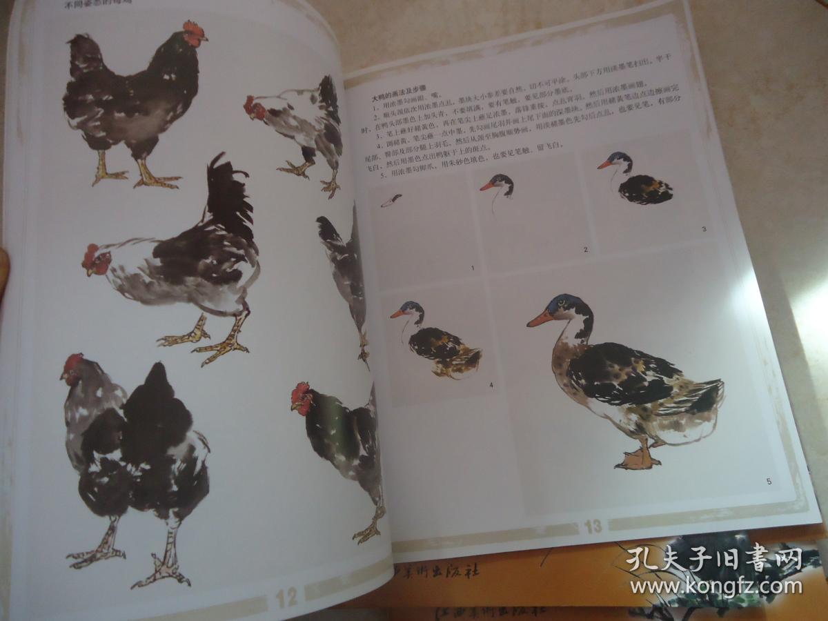 学国画（竹 ▪ 牡丹 ▪ 荷花 ▪ 菊花 ▪ 家禽， 5册合售）