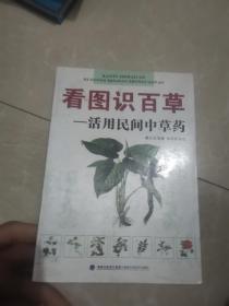 看图识百草：活用民间中草药