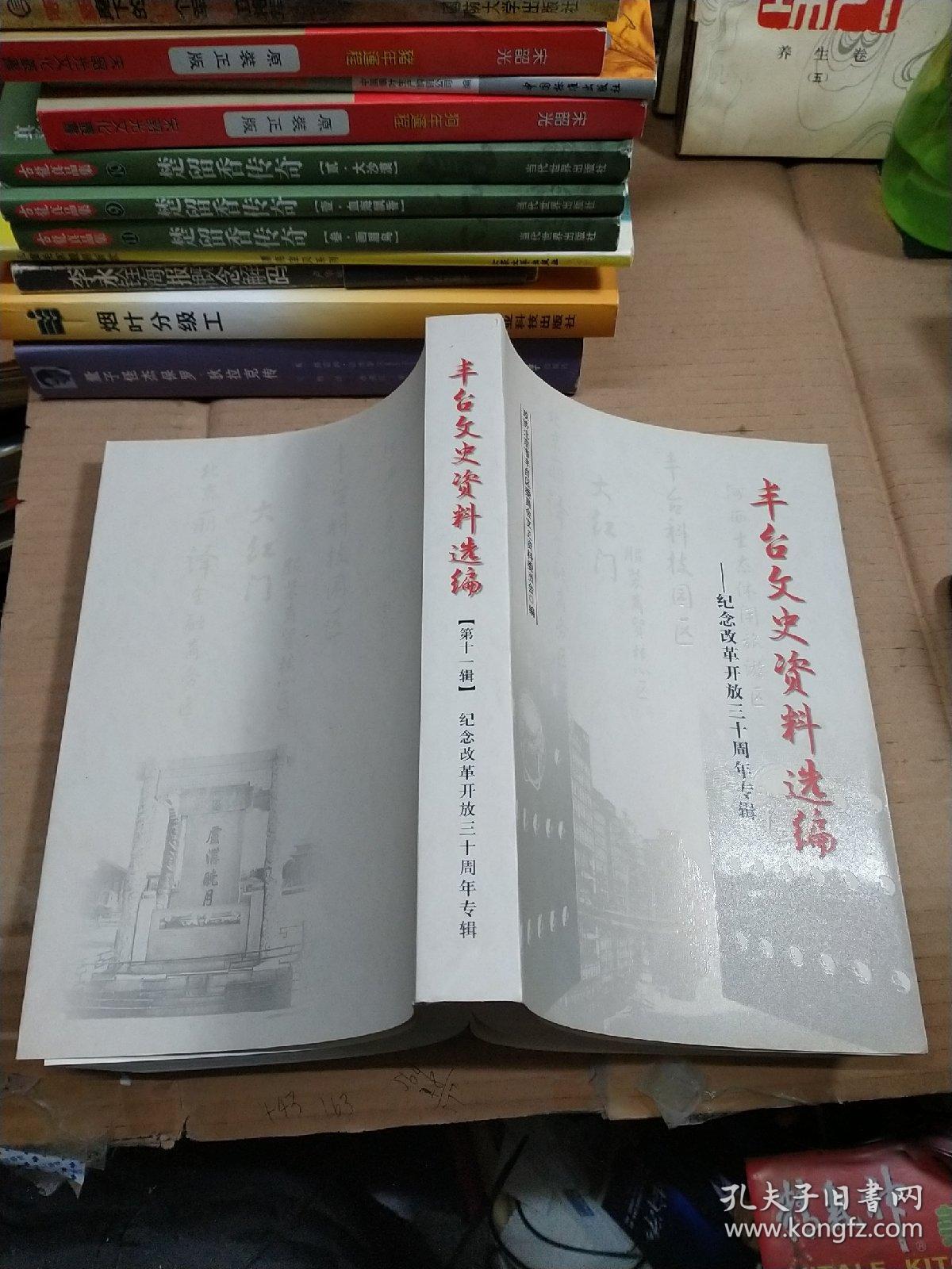 丰台文史资料选编:纪念改革开放三十周年专辑（第十一辑）