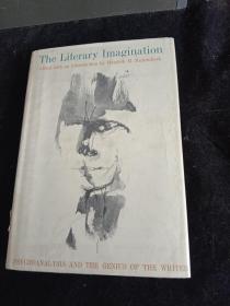 the literary imagination