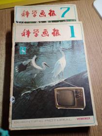 科学画报1982年1－12期