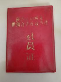 家庭历史老资料    1983年农村供销社社员证