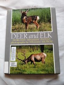 DEER and ELK