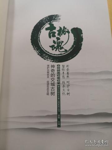 古树魂  神奇的交城古树