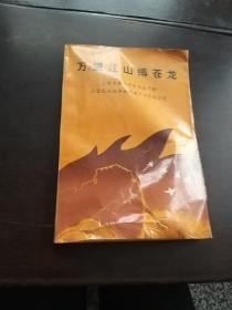 万里江山缚苍龙