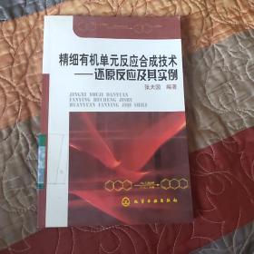 精细有机单元反应合成技术：还原反应及其实例