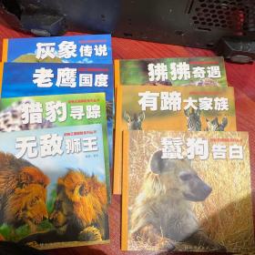 动物王国探险系列丛书――鬣狗告白 有蹄大家族 狒狒奇遇 无敌狮王 猎豹寻踪 老鹰国度 灰象传说（七册合售）