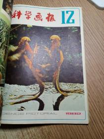 科学画报1982年1－12期