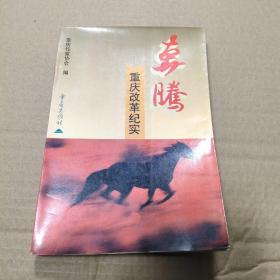 奔腾重庆改革纪实