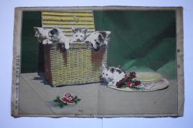 六十年代 中国杭州织锦厂制“猫儿”挂画 老物件 尺寸：27cmX18cm