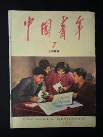 中国青年  (1966年第7期)