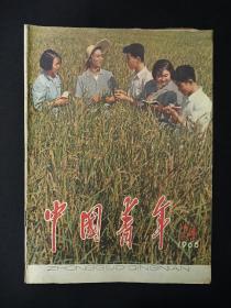 中国青年  (1965年第24期)